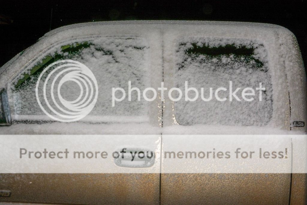 2-1-2016%20Snowie%20Trunk_zpsefhpydzk.jp