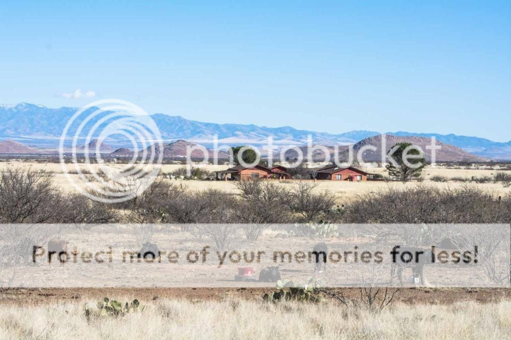 2-3-2015%20Backyard%20Neighbors_zpshqfbn