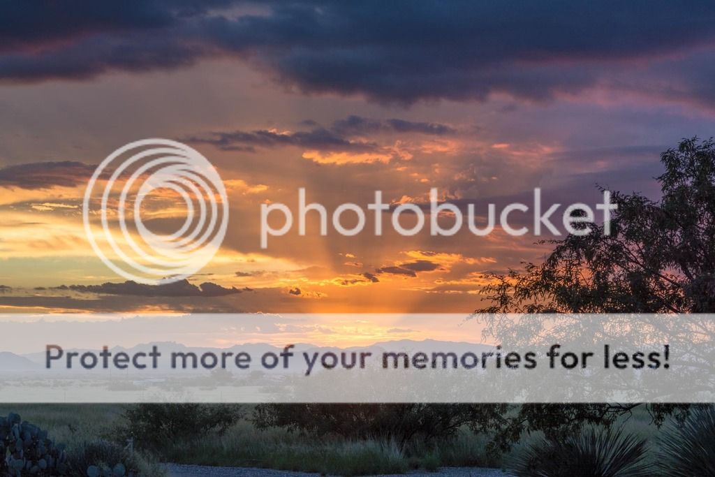 8-11-2015%20Driveway%20Dawn_zps3kduoqvo.