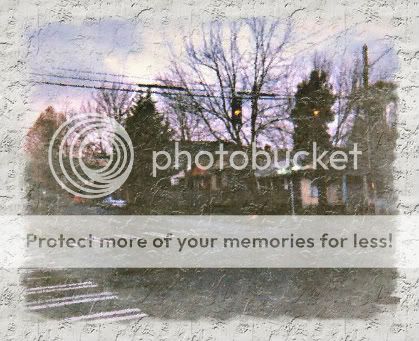 seattle,rain,Madrona