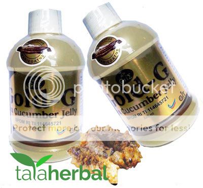 jual-jelly-gamat-gold-g-sea-cucumber-asli-tataherbaldotcom1_zps7b4aba01.jpg
