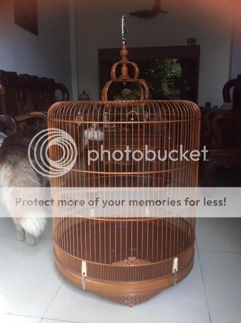 Lồng lửa Hồng Kông 108 nan