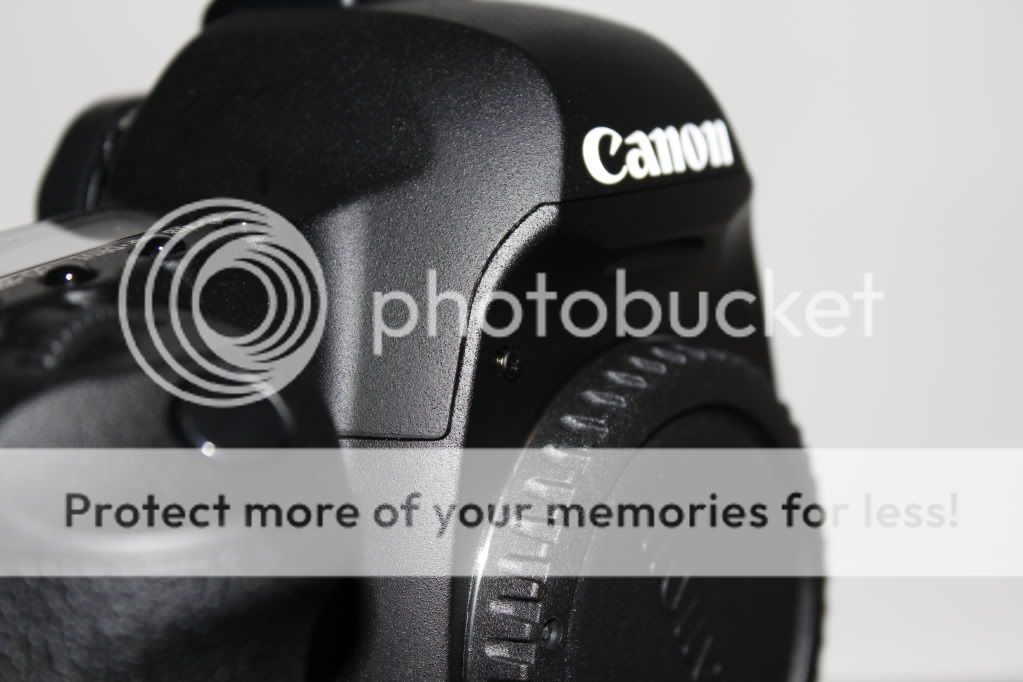 IMAGE: http://i698.photobucket.com/albums/vv344/CarmenJ87/_MG_7119.jpg