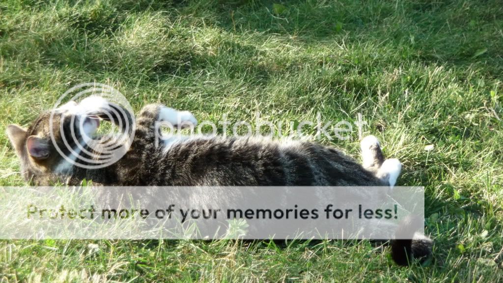 Photobucket