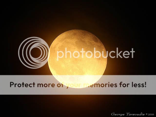 golden moon