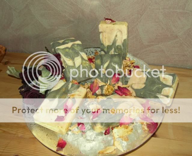 Rose im Garten