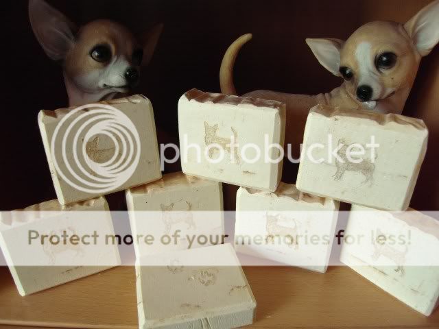 Chihuahuaseife