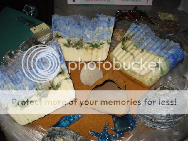 sylt seife mit blasenalgen, morsumer sand, nordseewasser