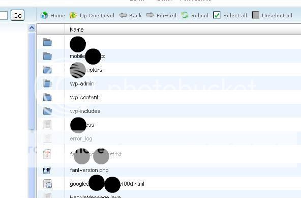 file_list_cpanel.jpg