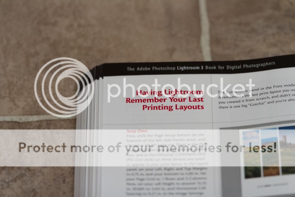 IMAGE: http://i698.photobucket.com/albums/vv347/bradipock/Sigma%2050-150%20Test/50281-25.jpg