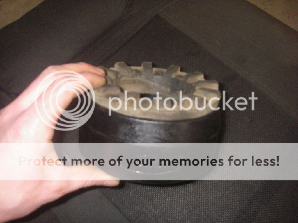 IMGP0128-1.jpg