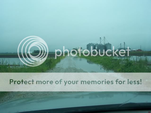 Pictures around your Homestead - Homesteading Questions