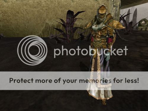tumblr_ldn6ec6t5g1qehicqo1_500_1.jpg
