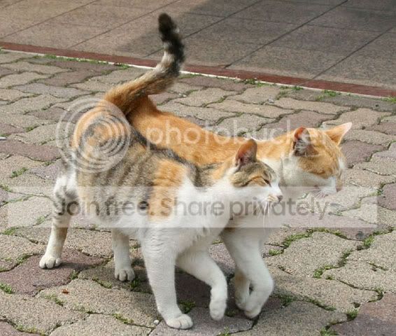 walking2gether.jpg